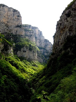 vikos